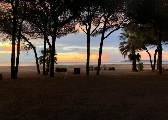 Holidays * 格勒姆